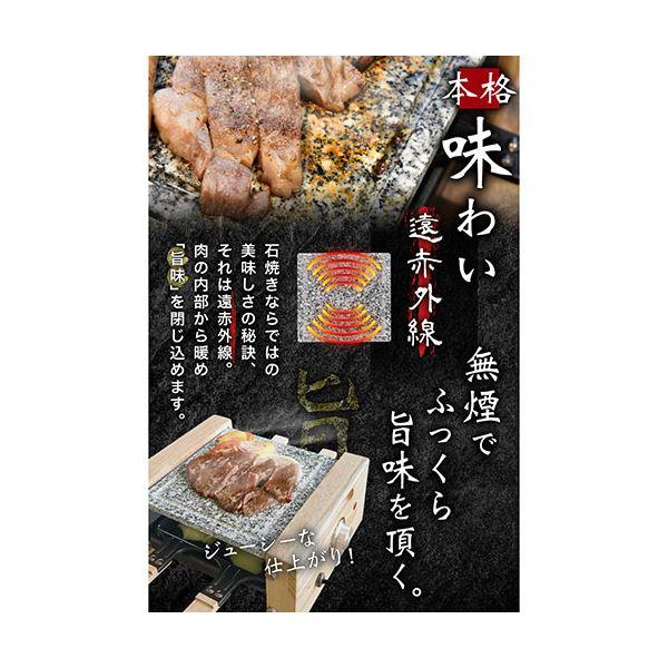 サンコー 至高のひとり焼肉 「俺の石焼きプレート」 S-WSG21B｜saradakan-tuboiten｜02