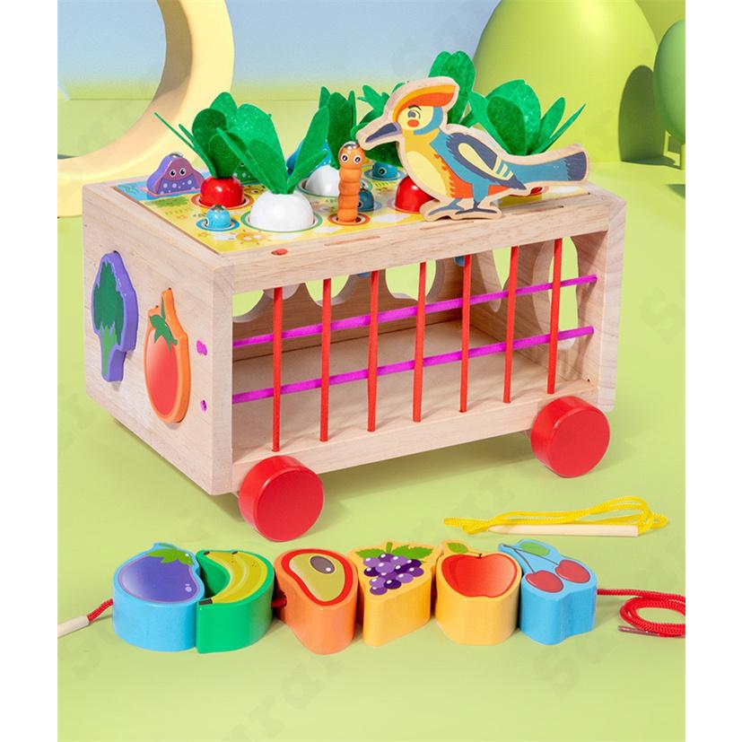 モンテッソーリ　知育玩具 動物・生物パズル　5個セット 楽天市場】知育パズル 3歳 ジグソーパズル 紙製 パズル 動物