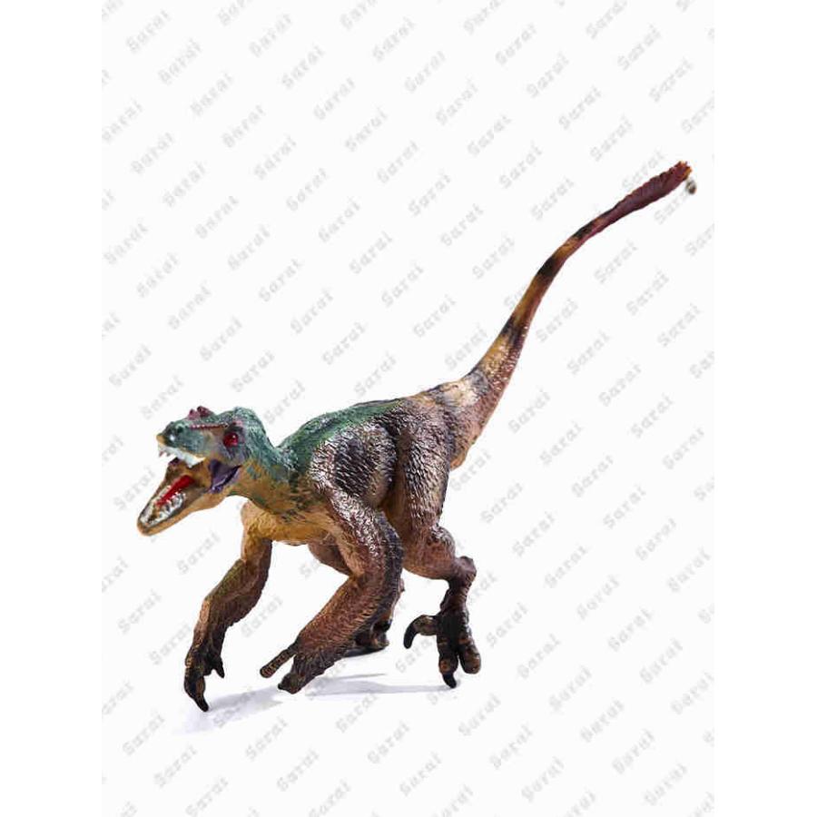 恐竜 大きい リアル フィギュア 模型 おもちゃ スピノサウルス オルニトミムス 4体セット ジュラシック 骨格 博物館 ダイナソー 知育玩具 子供 こども 誕プレ｜sarai-store｜12