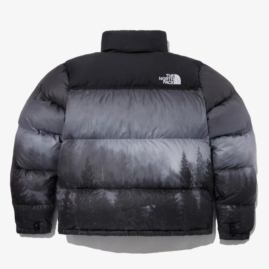 THE NORTH FACE ザノースフェイス M'S 1996 NOVELTY NUPTSE JACKET ダウンジャケット アウター メンズ  ユニセックス  ウィンター  NJ1DP76 海外輸入｜sarajyu88｜05