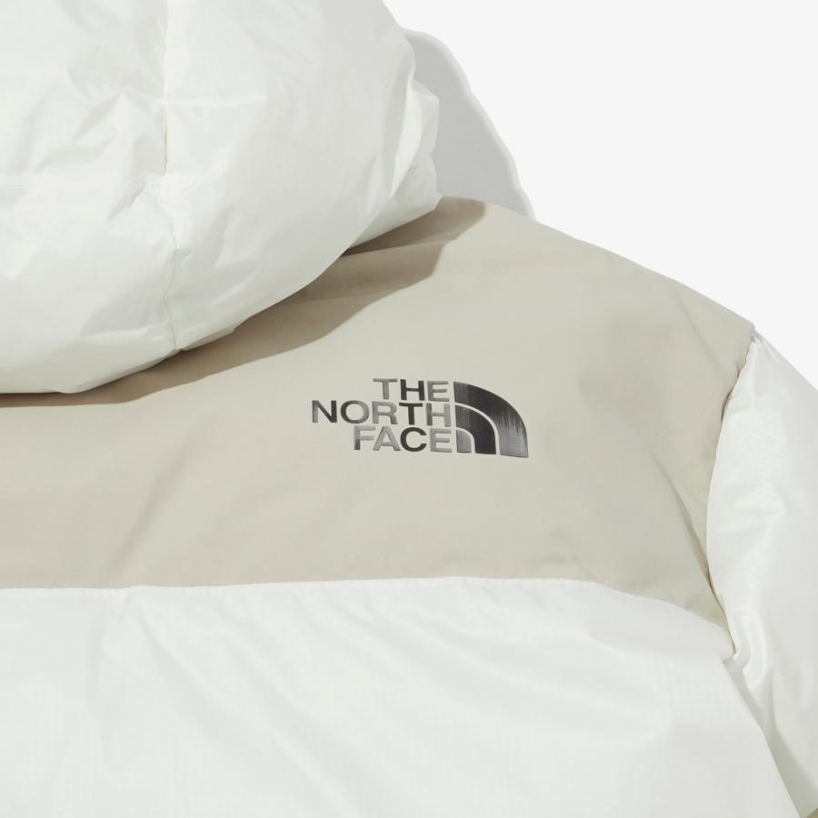 THE NORTH FACE ザノースフェイス ゴアテックス ダウンジャケット メンズ レディース SUMMIT PRO DOWN JACKET  アウター 切り替え ウィンター 海外輸入｜sarajyu88｜20