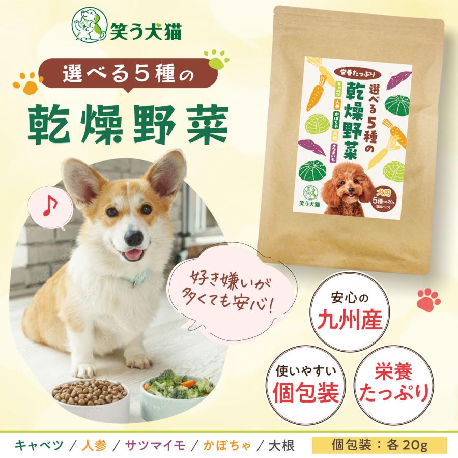 犬 野菜 おやつ 無添加 国産 5種の乾燥野菜 ( 人参 キャベツ