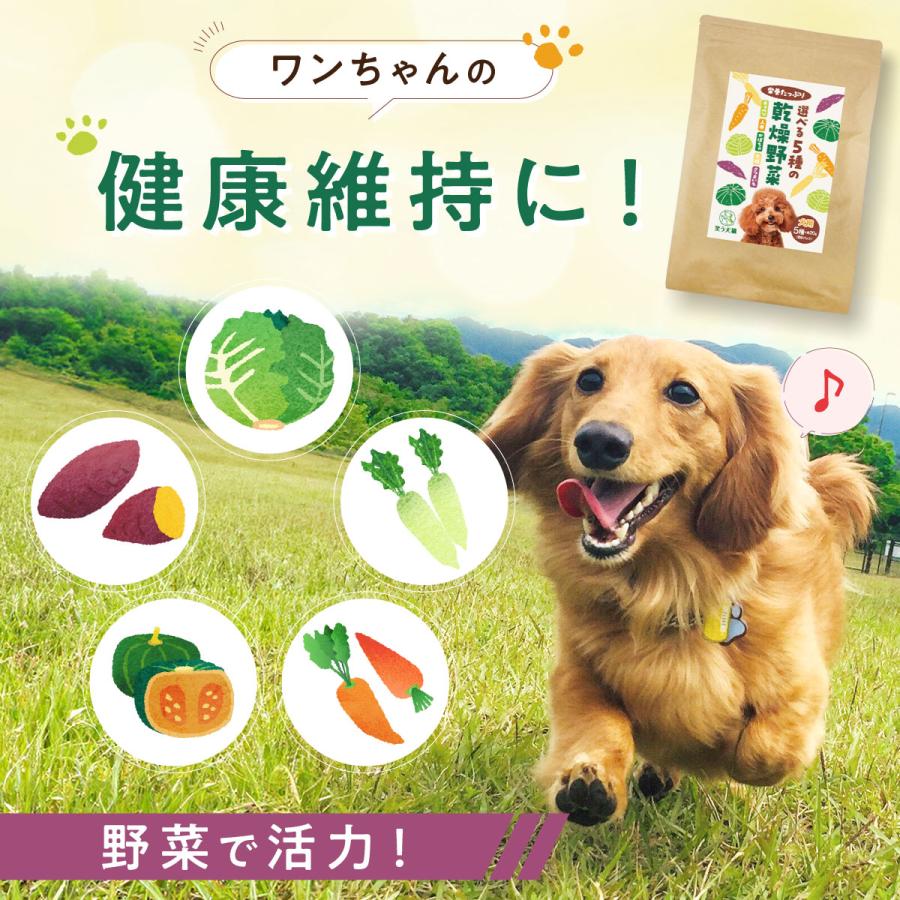 犬 野菜 おやつ 無添加 国産 5種の乾燥野菜 ( 人参 キャベツ