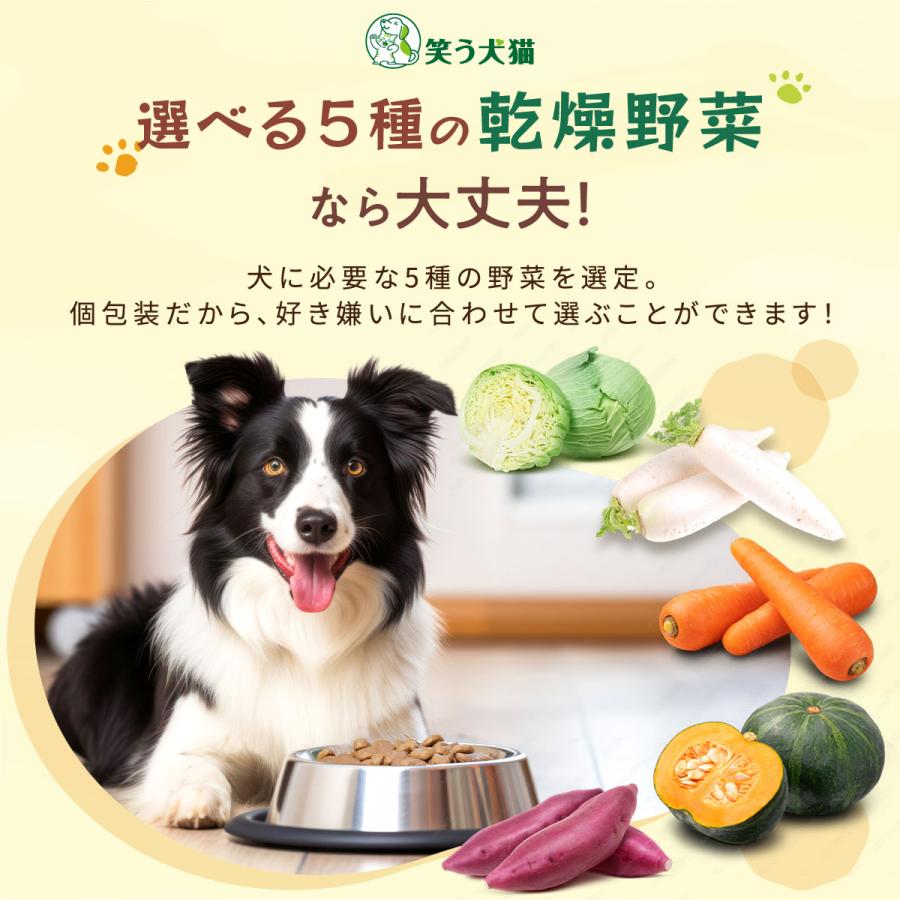 犬 野菜 おやつ 無添加 国産 5種の乾燥野菜 ( 人参 キャベツ