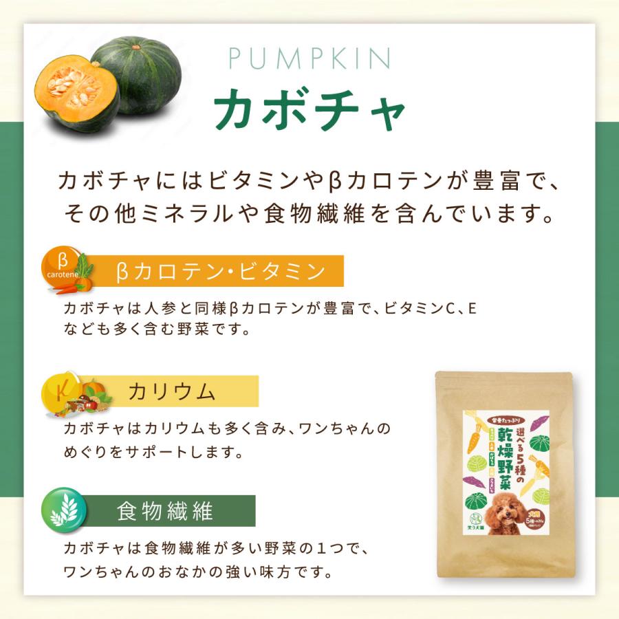 犬 野菜 おやつ 無添加 国産 5種の乾燥野菜 ( 人参 キャベツ