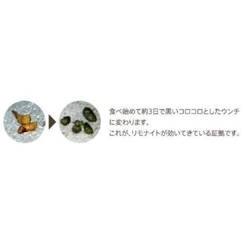 【4個セット】わんこのリモナイト 馬肉 超小粒 250g 犬 おやつ わんこのリモナイト馬肉超小粒 250g 犬 おやつ 7279266