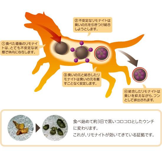 【4個セット】わんこのリモナイト 馬肉 超小粒 250g 犬 おやつ わんこのリモナイト馬肉超小粒 250g 犬 おやつ 7279266