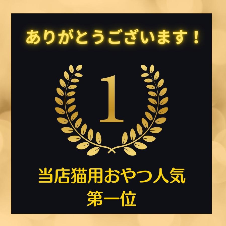 ママクック 猫 フリーズドライ おやつ 全15種から選べる6袋 送料