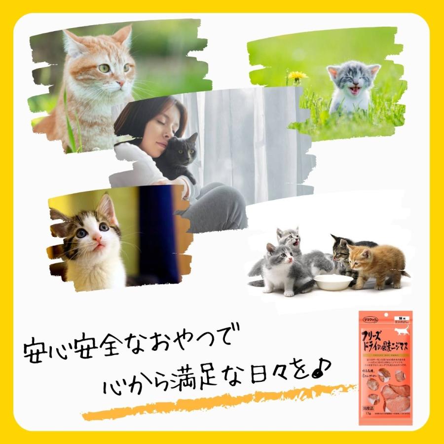 ママクック 猫 フリーズドライ おやつ 全15種から選べる6袋 : Sara