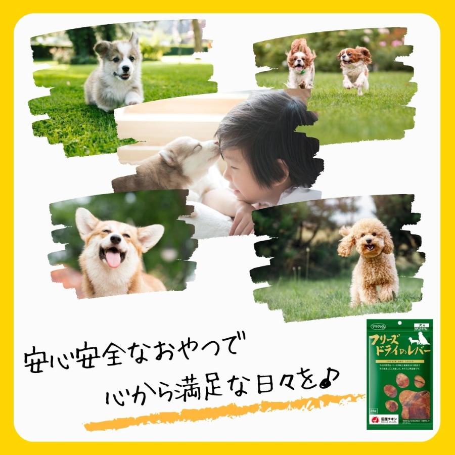 ママクック 犬 フリーズドライ おやつ 18種から選べる3袋 送料無料