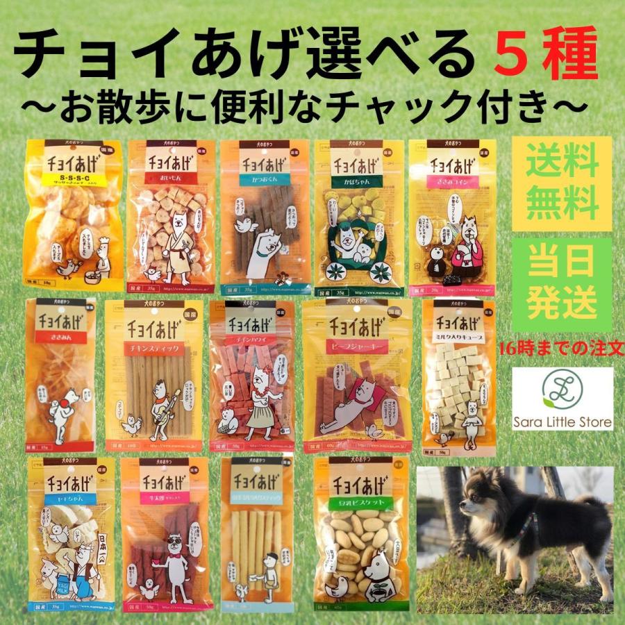 わんわん チョイあげ 犬 おやつ 無添加 国産 選べる5種 : Sara商店