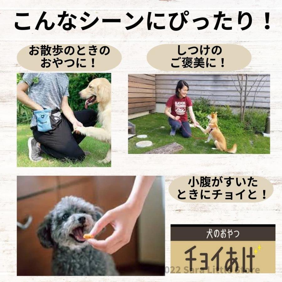 わんわん チョイあげ かぼちゃん × 10袋  犬 国産 おやつ｜saralittlestore｜04