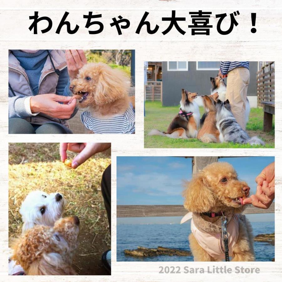 わんわん チョイあげ かつおくん × 10袋  犬 国産 おやつ｜saralittlestore｜02