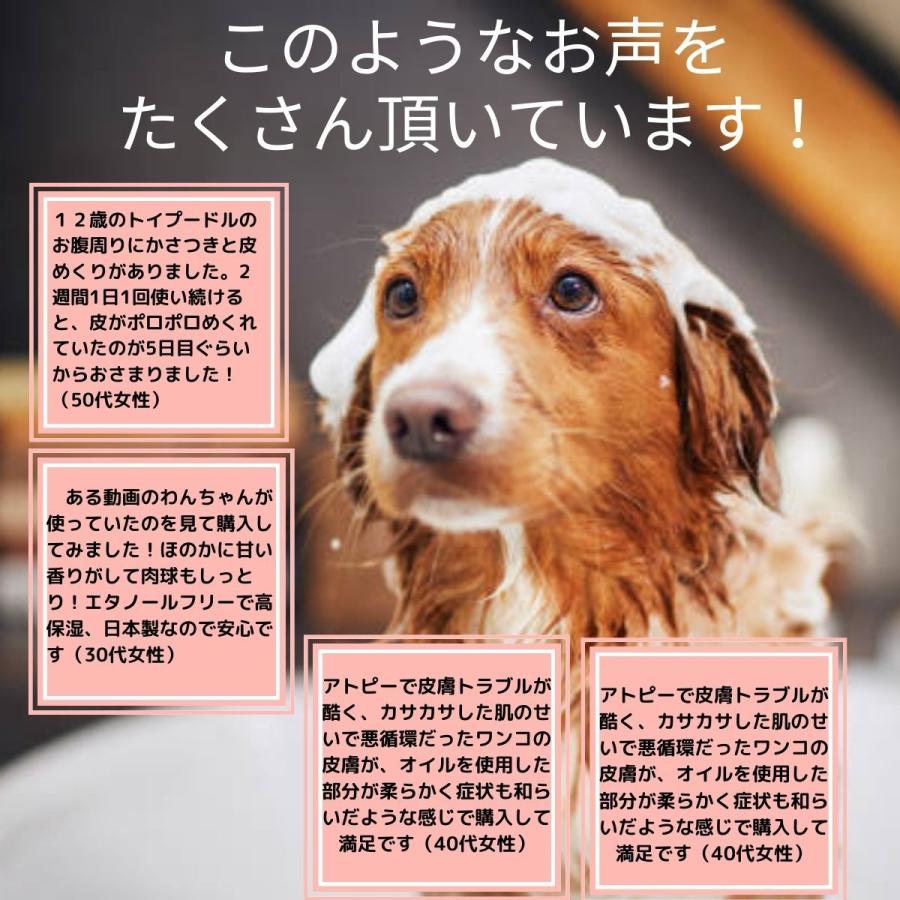 卸直営 Dog アフロート 低刺激シャンプー フォーム モイスチャライズ 選べる スキンケア 3点セット 犬