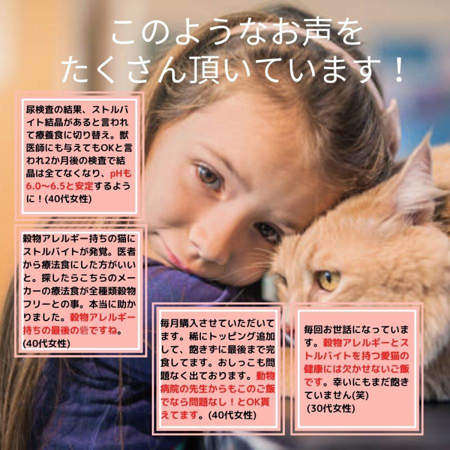 vet solution キャットフード 尿中ストルバイトサポート 1.5kg ベッツ