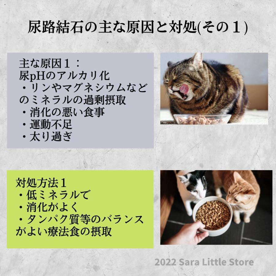 猫 尿中ストルバイト対策セット (ベッツソリューション キャットフード