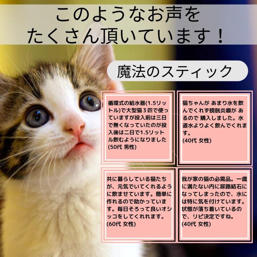 猫 尿中ストルバイト対策セット (ベッツソリューション キャットフード
