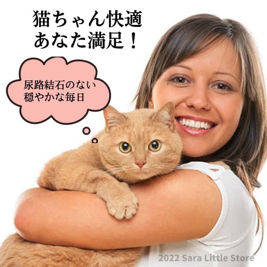 猫 尿中ストルバイト対策セット (ベッツソリューション キャットフード