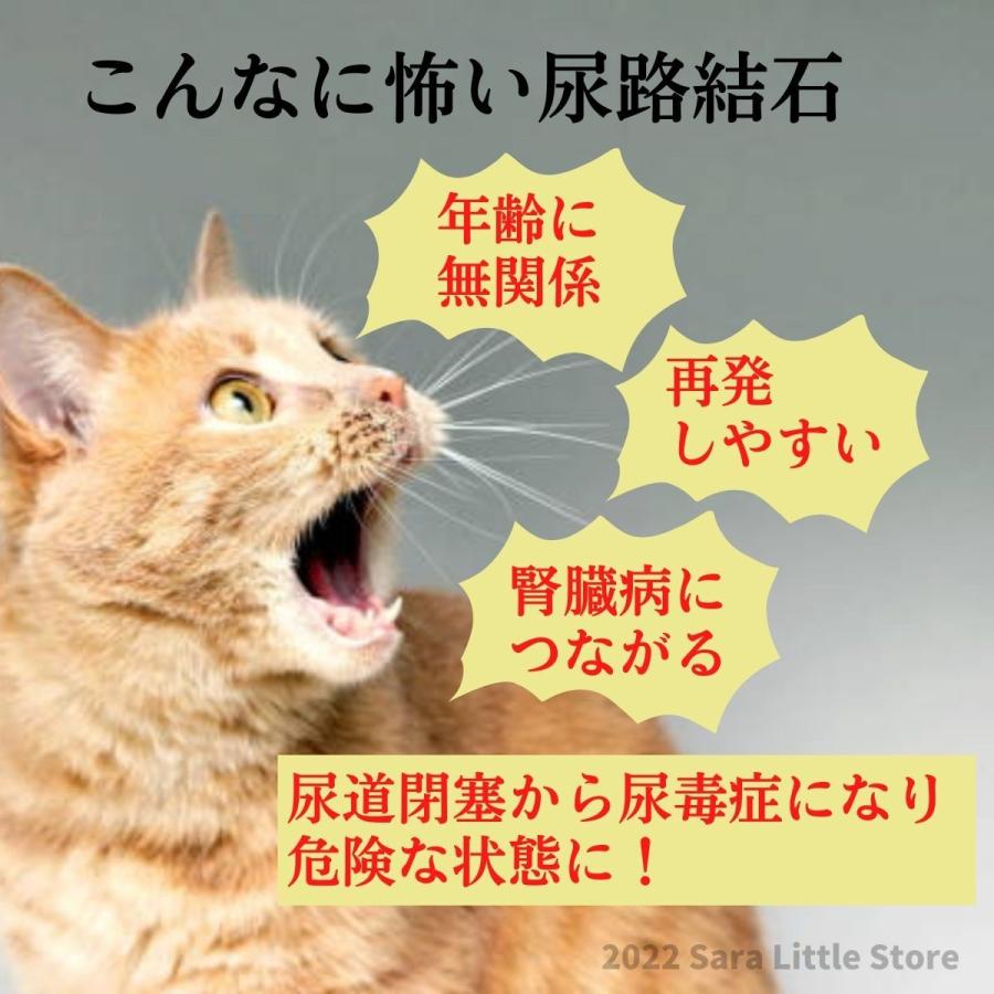 尿中ストルバイトサポート 2kg×2 400g×1 ベッツソリューション 食事療法食 猫用 尿中ストルバイトサポート 2kg