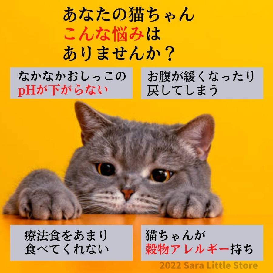 vet solution キャットフード 尿中ストルバイトサポート 400g ベッツ