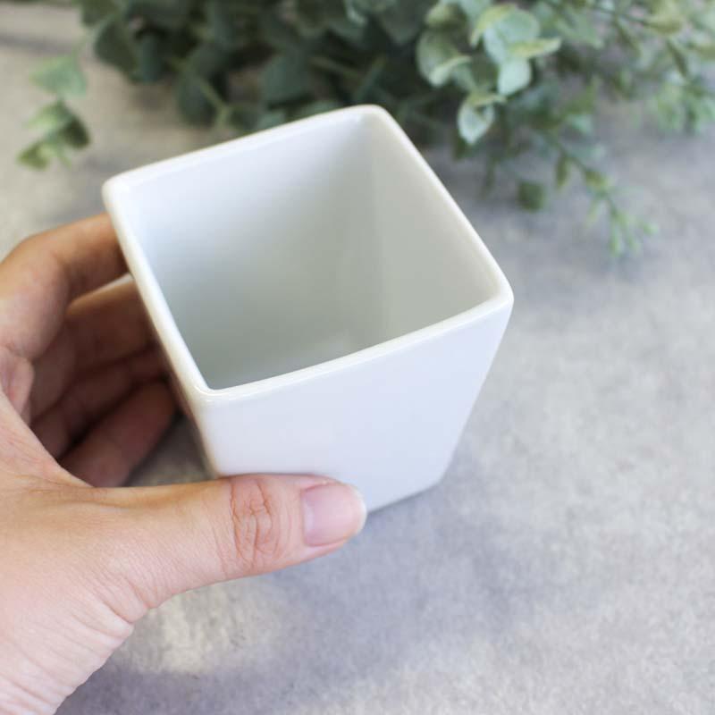 デザートカップ ミニカップ カップ プリン ゼリー 小鉢 ボウル 白