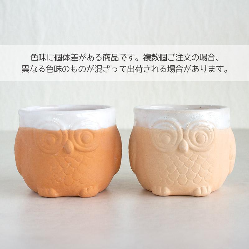 小鉢 ミニカップ カップ ふくろう 美濃焼 サボテンなどの鉢に 小物入れ