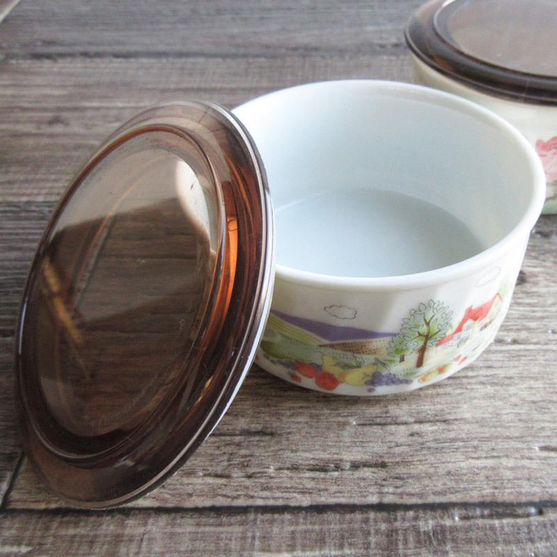 昭和レトロ プラスチックの蓋付き保存容器（2柄選択）/ ストッカー