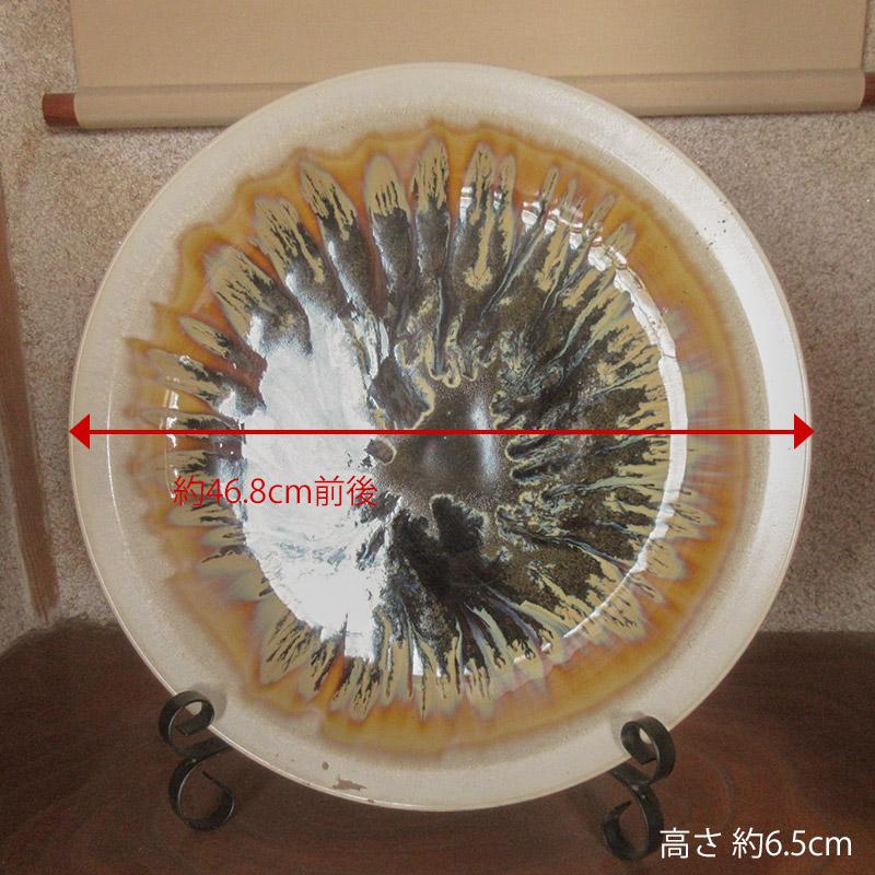 大皿 観賞用