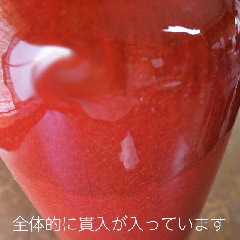 赤い花と白い花瓶　F4 W 33センチ×Ｈ24 赤い花と白い花瓶 F4 W 33センチ×H24Ω