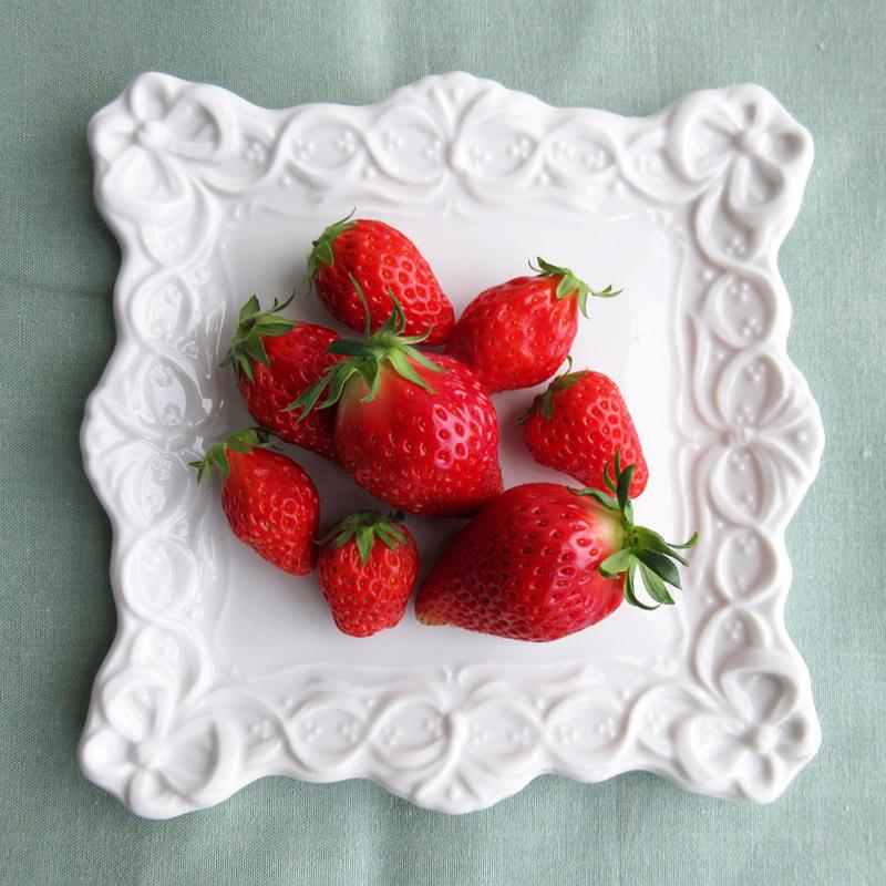 11枚セット 縁が広い 白い オシャレ浅い皿 約23cm (バラ売相談) 楽天