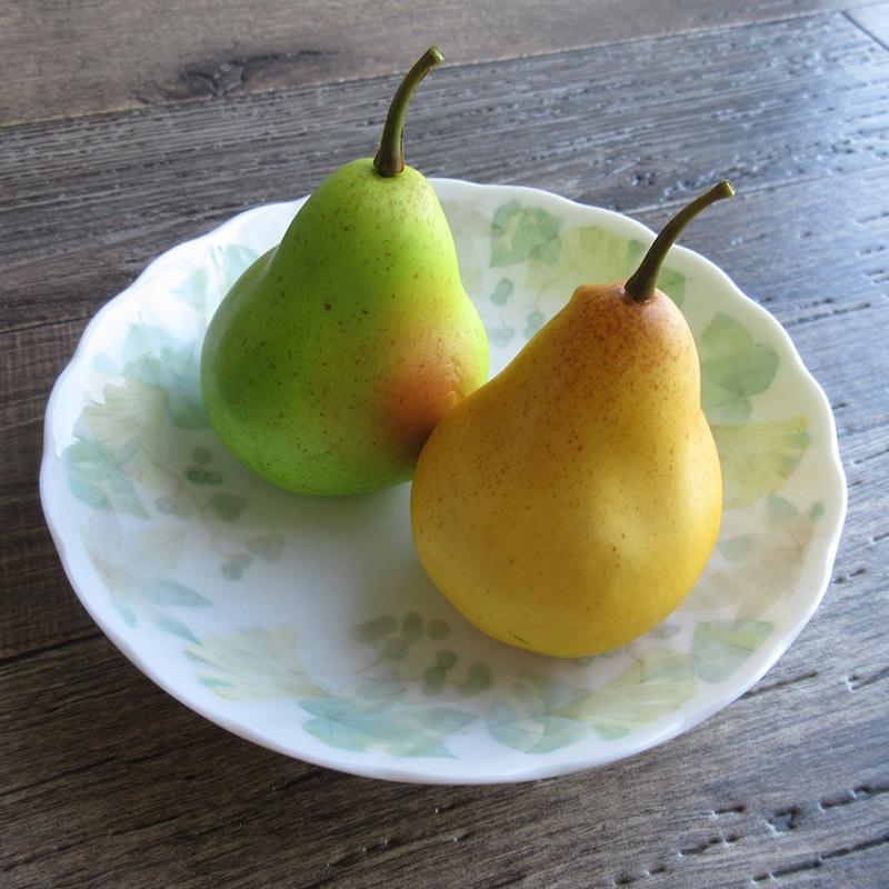 イチョウ柄 大浅鉢 21cm / 銀杏 いちょう 皿 葉っぱ ナチュラル 葉