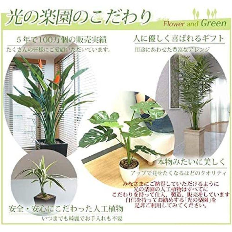 2021人気特価 光触媒 光の楽園ストレチアS花付 1.0mインテリアグリーン
