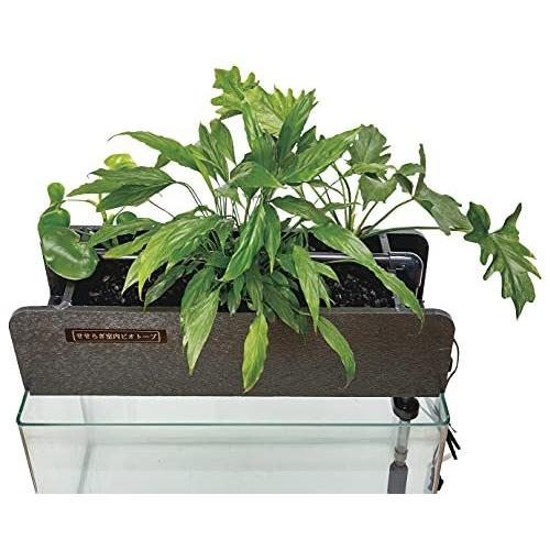 大決算売り尽くし 水替え不要 せせらぎビオトープ 60cm型 ろ過装置単体 縁なし水槽用 在庫一掃 Fcbyfauci Com Ve