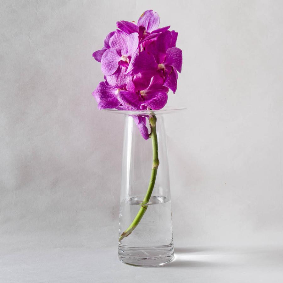 ガラス 花瓶 枝物 おしゃれ B2c フラワーベース ブリムタイプ L Cyu026 Sarasa Design Store 通販 Yahoo ショッピング