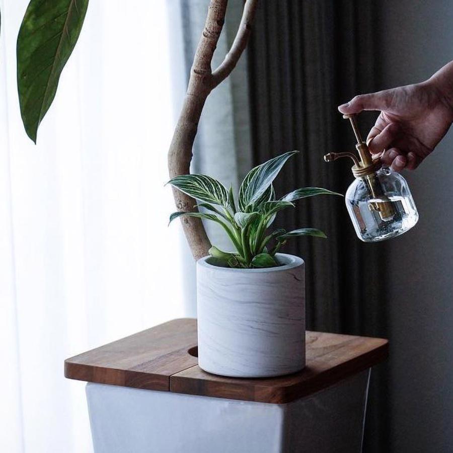 シンプルでおしゃれなプランター 植木鉢 R Noo アールヌー Tunn C プランター セメント ロー L ホワイト コンクリート Trn006 002 Sarasa Design Store 通販 Yahoo ショッピング