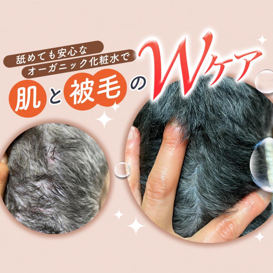 SARABiO Docpal（ドクパル） ペット用化粧水 200ml 単品 犬 猫 スキンケア オーガニック 無添加 皮膚トラブル アトピー かゆみ 涙やけ 乾燥 メーカー公式 |  | 02