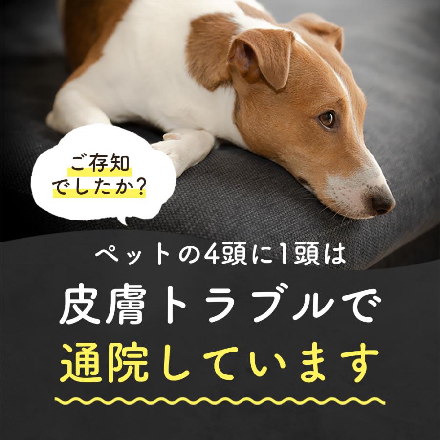 SARABiO Docpal（ドクパル） ペット用化粧水 200ml 単品 犬 猫 スキンケア オーガニック 無添加 皮膚トラブル アトピー かゆみ 涙やけ 乾燥 メーカー公式 |  | 07