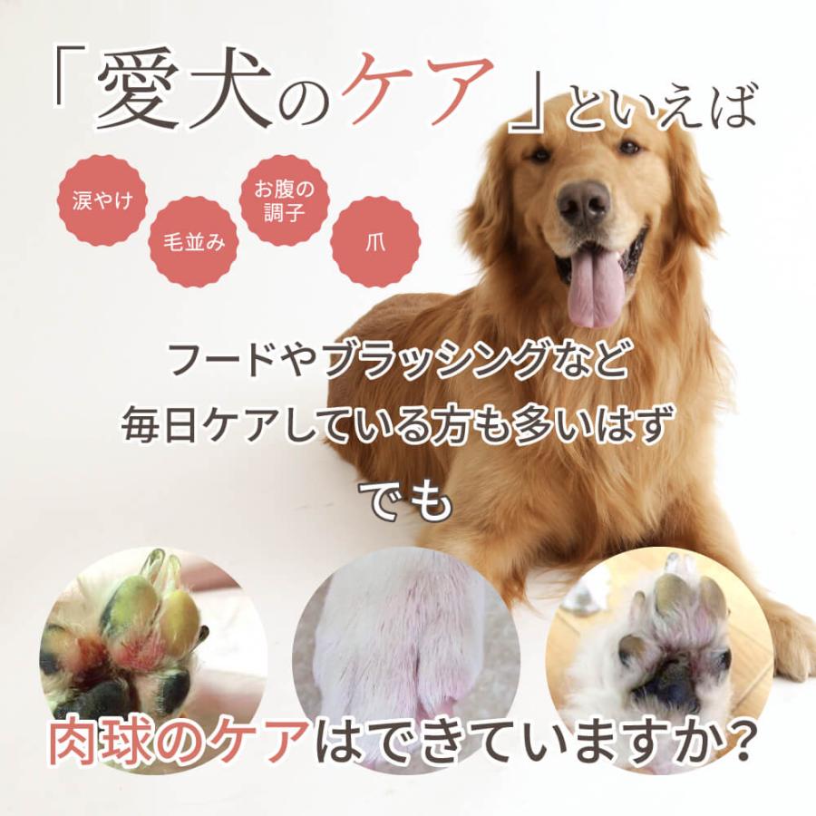 SARABiO Docpal（ドクパル） 肉球オイル 30mL 単品 メーカー公式 |  | 03