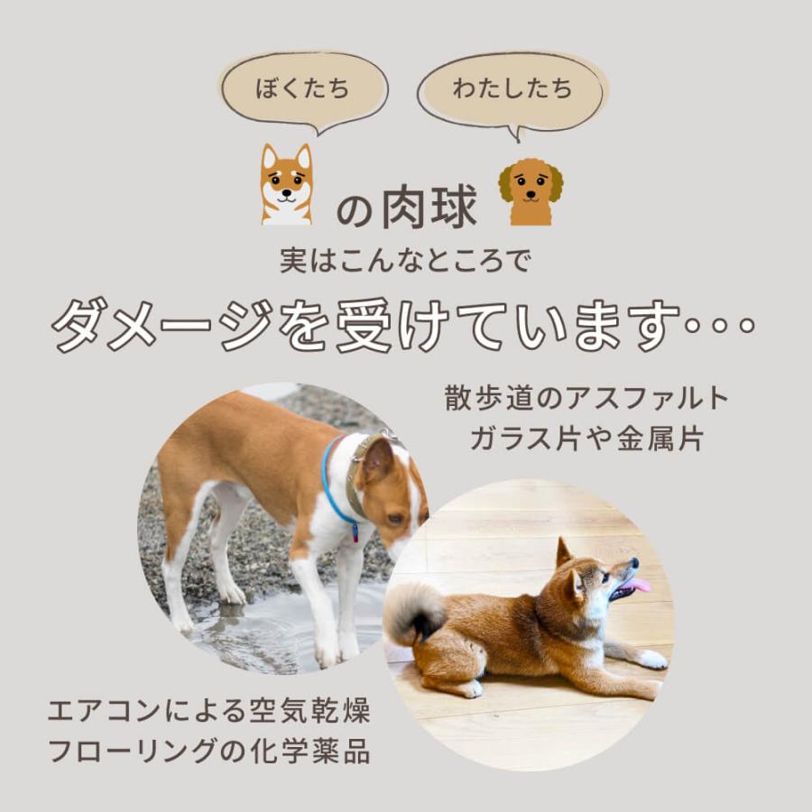 SARABiO Docpal（ドクパル） 肉球オイル 30mL 単品 メーカー公式 |  | 05