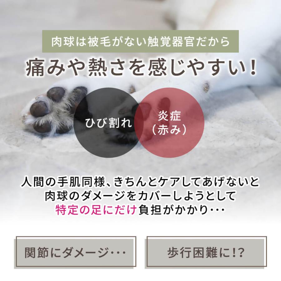 SARABiO Docpal（ドクパル） 肉球オイル 30mL 単品 メーカー公式 |  | 06