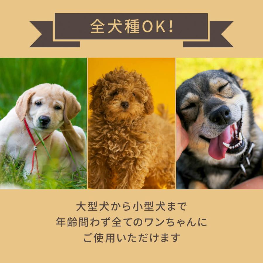 SARABiO Docpal（ドクパル） 肉球オイル 30mL 単品 メーカー公式 |  | 08