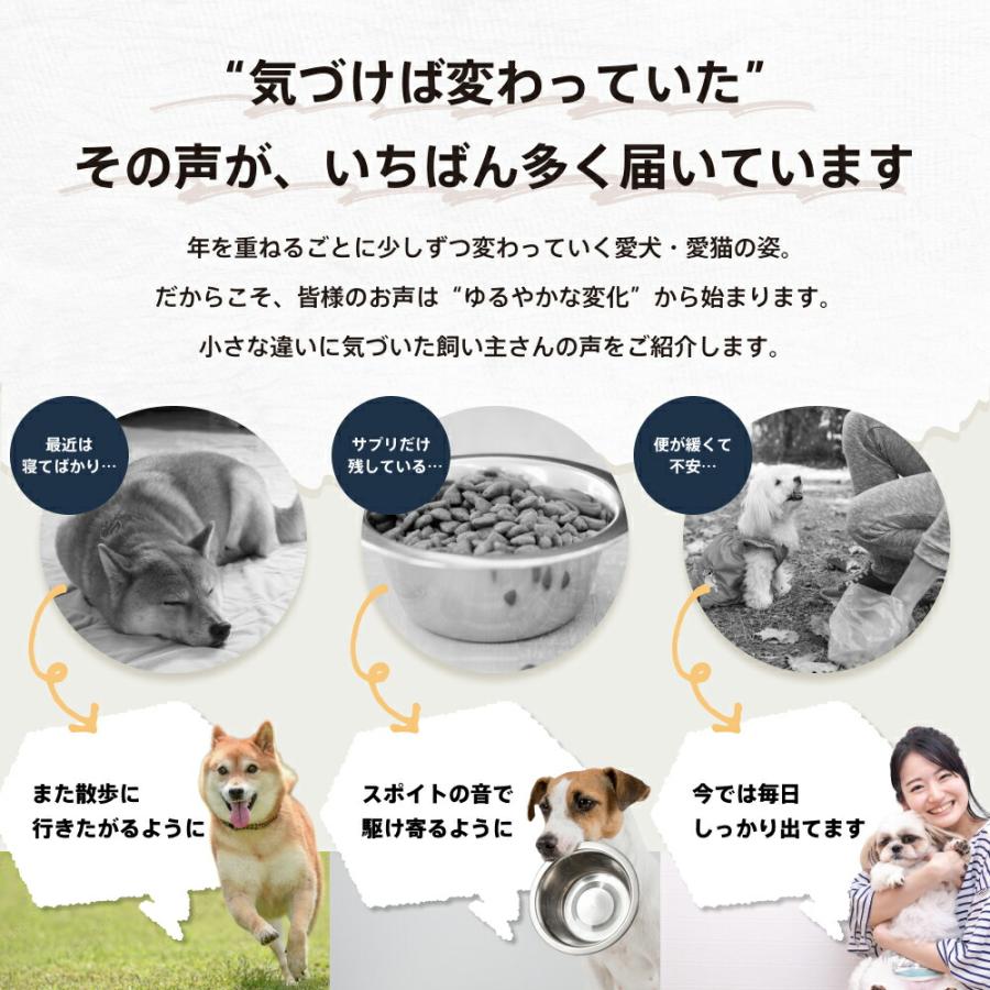 SARABiO Docpal（ドクパル） ペット用フードプラス 20mL 腸活補助サプリメント メーカー公式 |  | 11