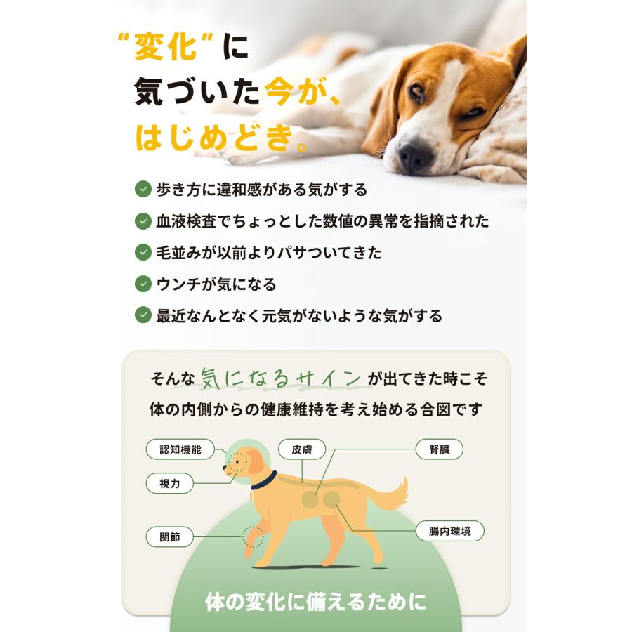 SARABiO Docpal（ドクパル） ペット用フードプラス 20mL 腸活補助サプリメント メーカー公式 |  | 02