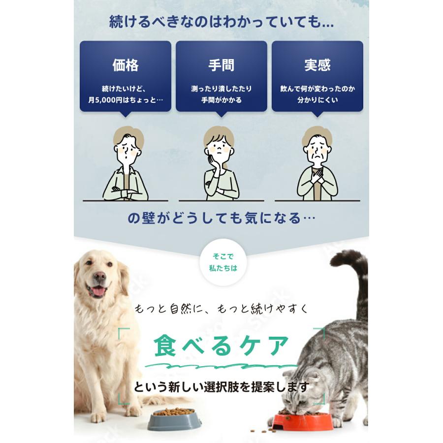 SARABiO Docpal（ドクパル） ペット用フードプラス 20mL 腸活補助サプリメント メーカー公式 |  | 03