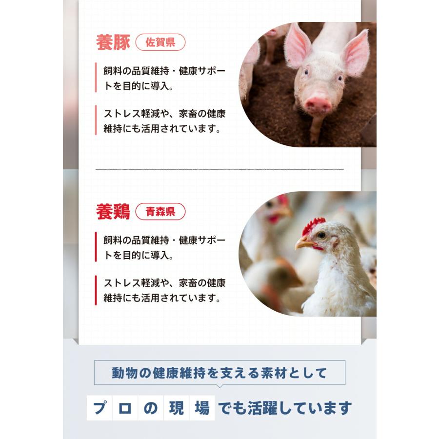 SARABiO Docpal（ドクパル） ペット用フードプラス 20mL 腸活補助サプリメント メーカー公式 |  | 08