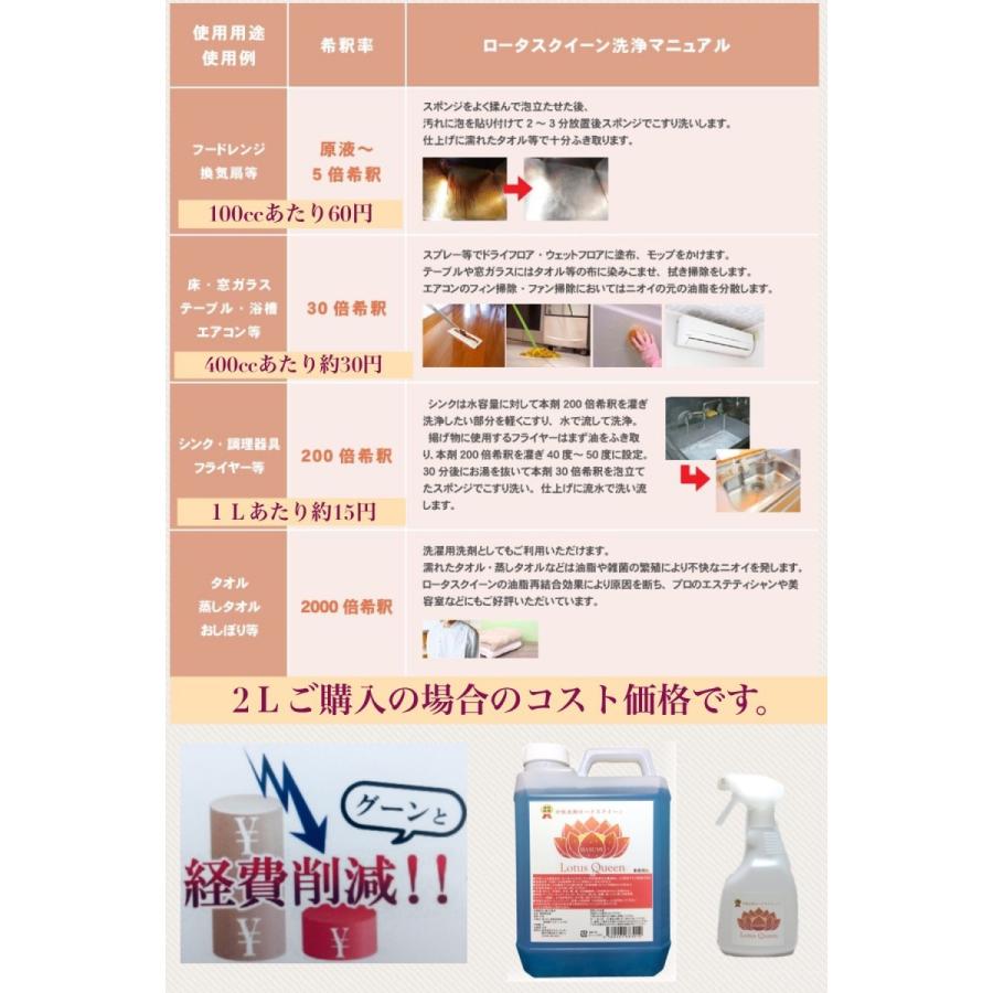 洗剤 手肌に優しい中性 万能洗剤 お掃除 お洗濯 洗浄はこれ一つ