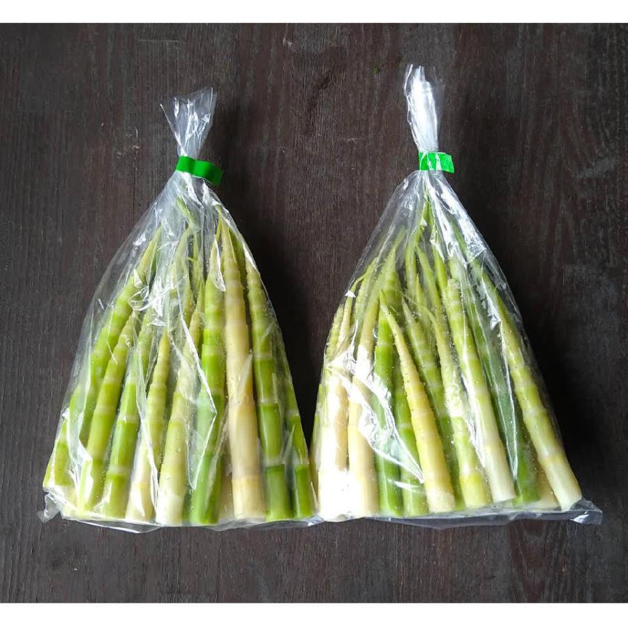 根曲がり竹 姫竹 水煮 2袋 500g 天然山菜 飛騨高山産 岐阜県高山市 Sarubobo Sansai046 さるぼぼ山菜便 通販 Yahoo ショッピング