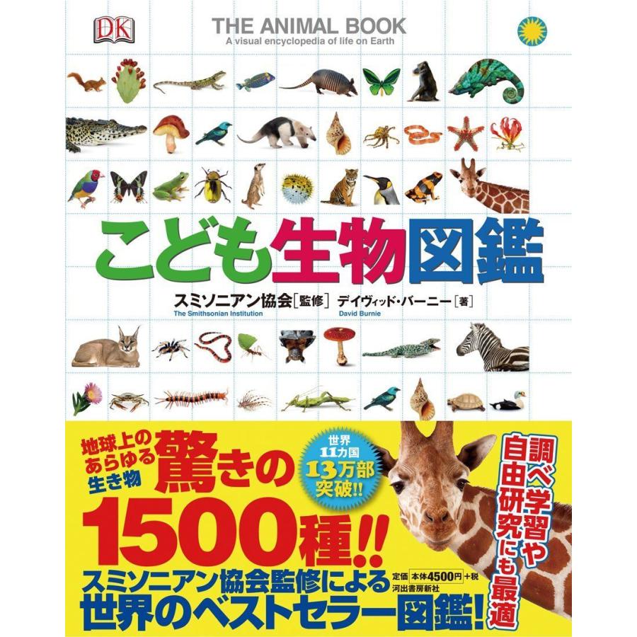 人気ブランド こども生物図鑑 最安 Test Pendarnet Com