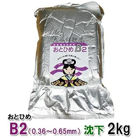 新しいコレクション 日清丸紅飼料 おとひめb2 沈下 2kg アルミ真空パック入 小分け品ではありません 早割クーポン Gratiamarketingdigital Com Br