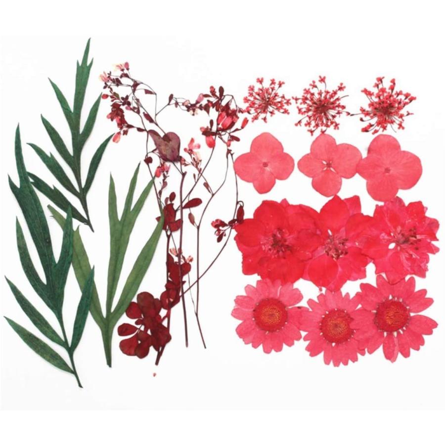 Diy用 押し花 ドライフラワー ブリザードフラワー レッドミックス Flj3jpuvg8 Lohenpyrsto Fi